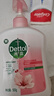 滴露（Dettol）洗手液抑菌杀菌消毒滋润500g+500g 补充装儿童家庭护手替换 实拍图