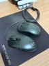 罗技（G）G102第二代游戏鼠标 RGB流光灯效鼠标 轻量化  游戏级8000DPI传感器 黑色 200-8000DPI 实拍图