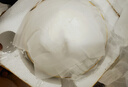 巛焦碗具套装碗盘餐具釉下彩简约高档家用陶瓷碗盘子面碗组合碗筷新款 6英寸面碗【4个】皓月白 实拍图