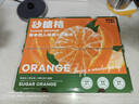 京鲜生 砂糖橘/砂糖桔 净重5斤精品果 生鲜水果年货礼盒  实拍图