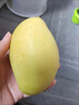 京鲜生新鲜玉芒  净重3斤 单果300g＋ 新鲜水果 源头直发包邮 实拍图