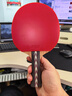 红双喜DHS狂飚No.6瑰木面材蓝海绵乒乓球拍狂飚横拍双面反胶乒乓拍 实拍图