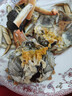 【活蟹】湖鲜阳澄大闸蟹公3.5-3.8两 母2.5-2.8两4对8只鲜活超大螃蟹礼盒装源头直发 实拍图