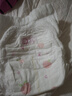 好奇（Huggies）铂金装小桃裤纸尿裤L120片(9-14kg)大号尿不湿【透爽散热】 实拍图
