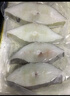 京觅 冷冻格陵兰比目鱼净重800g 6-8块甄选中段 生鲜鱼类 年货 深海鱼 实拍图