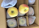 佳农烟台红富士苹果 净重10斤 一级果 单果重160g+  生鲜水果礼盒 实拍图