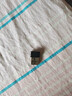 Tenda腾达 WiFi6免驱动usb无线网卡台式机专用 wifi接收器台式电脑笔记本主机网络wifi发射 内置天线 实拍图