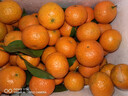 京地达广东砂糖橘新鲜水果净重5斤中小果35-45mm源头直发包邮 实拍图