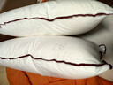 水星家纺枕头枕芯酒店枕头护颈枕头芯家用一对纯棉抗菌可水洗中枕48x74cm 实拍图