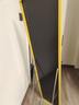 镜子全身镜家用落地试衣镜壁挂卧室贴墙穿衣镜网红ins立体落地镜 40*150耀日金-壁挂落地两用 实拍图