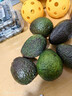 山姆大叔 金奖·哈斯牛油果云南孟连【闪送】当季鳄梨非即食新鲜水果礼盒 【80%选择】精品果丨约95-125g 6枚【热销* 超值推荐】普装 实拍图