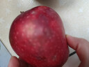 京鲜生 甘肃天水花牛苹果 又大又红 净重10斤 单果200g以上 新鲜水果  实拍图
