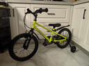 途锐达京东自营 超轻儿童自行车3-6岁男孩单车元旦礼物蜂鸟16寸清柠绿 实拍图