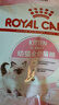 皇家宠物猫粮 幼猫猫粮K36-适用于12月龄50g*3 实拍图