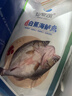 仙泉湖三去白蕉海鲈鱼 400g/条净膛冷冻刺少肉厚特产年货食材生鲜水产 实拍图