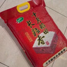 十月稻田 2025年新米 长粒香大米 10斤（东北大米 香米 5公斤/十斤） 实拍图