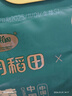 十月稻田 四平黄甜糯玉米 8根 3.52斤 东北黏玉米棒 真空包装 非转基因 实拍图