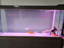 森森（SUNSUN）大型鱼缸底过滤水族箱客厅家用落地玻璃生态金鱼缸 【实时温显+灯控】纳米灰 1.5米长35cm宽 实拍图