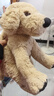 宜家（IKEA）古西格格登玩偶公仔宠物狗抱枕送礼女生睡觉毛绒玩具生日礼物 狗/金毛寻回犬40cm 实拍图
