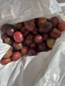 星派果【顺丰多地次日达】澳洲进口西梅法兰西孕妇李子当季新鲜水果礼盒 4斤大果【精选装单果18-25g】净重3.5斤 坏果包赔 | 顺丰速运 实拍图