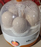 小熊（Bear）煮蛋器蒸蛋器单层家用自动断电迷你早餐神器鸡蛋羹蒸鸡蛋器蒸蛋机炖蛋器蒸蛋锅防干烧便携式电蒸锅 单层 实拍图
