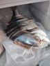 广东湛江淡晒特大金鲳鱼干3条装 真空包装 鲜鱼活晒干货食材 3条（每条300-350克）共约900g 晒单实拍图