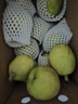 京鲜生 新疆特级库尔勒香梨 净重5斤单果120g以上 生鲜水果 实拍图