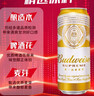 百威金尊啤酒500ml*18听整箱装 单一麦芽原麦京东自营新年送礼喜酒 实拍图