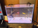 YEE亚甲基蓝鱼缸消毒杀菌观赏鱼锦鲤白点净水烂身烂尾535ml  实拍图