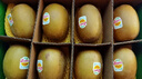 佳沛（zespri）新西兰阳光金奇异果 8个装 特大果单果重约122-146g 水果猕猴桃 实拍图