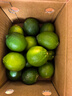 京鲜生 塔西提无籽柠檬 青柠檬 2斤装 单果60g起 生鲜水果 实拍图
