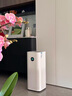 米家小米空气净化器5S家用除甲醛除菌除过敏AC-M24-SC 实拍图