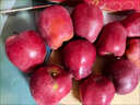 沐小七果蔬甘肃天水花牛粉面苹果 【顺丰极兔速运-可送货上门】水果送礼蛇果 A+大果（单果约70-75mm） 10斤装【家庭聚会-蕞划算】净8斤 实拍图
