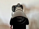 佳能Canon EF16-35 24-70 70-200mm二手单反镜头 大三元红圈广角中长变焦镜头 EF 70-200 F2.8L IS USM 单镜头【套餐更划算】 99成新 实拍图