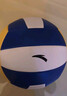 安踏（ANTA）排球【中考训练】比赛体育课专用中小学体考成人儿童软硬5号排球 实拍图