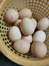 京鲜生可生食标准鲜鸡蛋30枚礼盒装3斤 源头直发 实拍图
