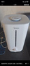 美的（Midea）空气加湿器家用卧室客厅冷蒸发鼻炎孕妇母婴幼儿静音抗菌办公室桌面小型迷你雾化器元旦礼物3G40S 实拍图