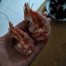 海鲜颂即食大虾干烤虾干虾仁干海虾干海产干货零食干虾海鲜特产源头直发 烤虾干XL 净重500g 实拍图