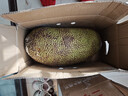 京鲜生 海南菠萝蜜 27-31斤 净重27斤+  生鲜水果 源头直发 实拍图