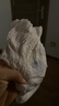 好奇（Huggies）金装拉拉裤XL96片(12-17kg)尿不湿【速干不易红】 实拍图