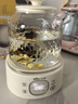 小熊（Bear）全玻璃养生壶 纯玻璃多功能恒温壶 办公室轻音炖煮花茶 1L YSH-J10D1 实拍图
