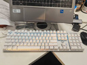 狼蛛（AULA）S500机械键盘 有线背光 104键全尺寸 游戏电竞笔记本电脑多媒体办公吃鸡全键无冲 白色冰蓝光茶轴 实拍图