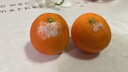 京觅江西赣南脐橙 9斤净重橙子单果180g起年货礼盒纽荷尔水果源头直发 实拍图