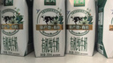 金典有机纯牛奶整箱 200ml*10盒 两箱 十月产 实拍图