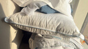 富安娜枕头芯全棉抗菌枕芯软枕颈椎枕五星级酒店枕头一对装74*48cm 实拍图
