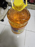 鲁花 食用油 物理压榨 葵花仁油6.18L  实拍图