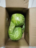 高原夏菜新鲜包菜卷心菜绿甘南菜甘蓝圆白菜时令蔬菜健康营养早餐 1.5斤-2斤高端标准菜 实拍图