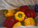 京鲜生山东双色水果五彩椒 生吃甜椒净重3斤单果150克起源头直发 实拍图