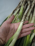 抢到就是赚】正宗山东大葱新鲜农家自种分葱长葱小细葱脆香葱甜葱 9斤带皮大葱 4500g 实拍图