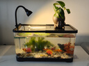 阔庭鱼缸懒人鱼缸家用客厅办公室金鱼缸过滤鱼缸黑色款 实拍图